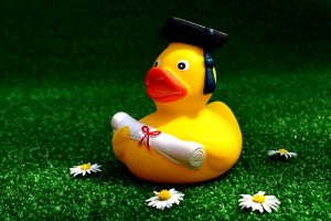 Mehr über den Artikel erfahren Gesundheitsfachwirte – Herzlichen Glückwunsch zur bestandenen Prüfung!